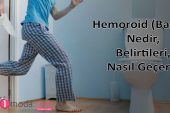 Hemoroid ( Basur ) Nedir, Nasıl Geçer